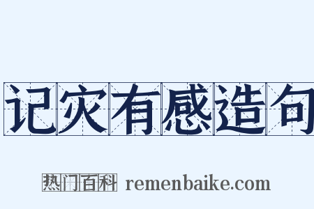 记灾有感造句是什么意思的图片